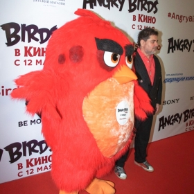 angry_birds-11