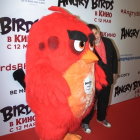 angry_birds-13