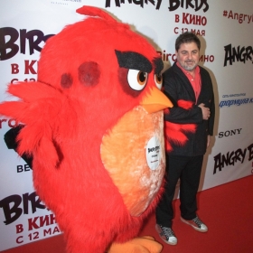 angry_birds-14