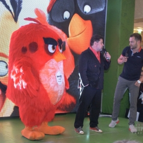 angry_birds-22
