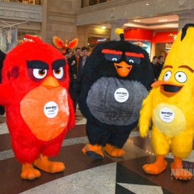 angry_birds-3