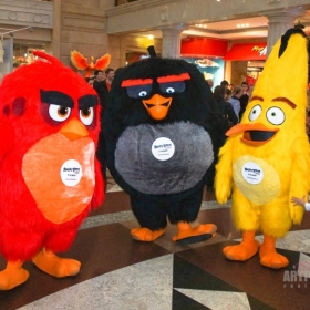 angry_birds-4