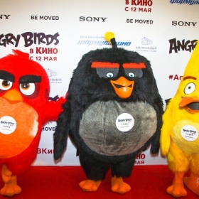 angry_birds-5
