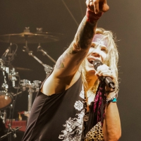steel_panther61