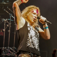 steel_panther65